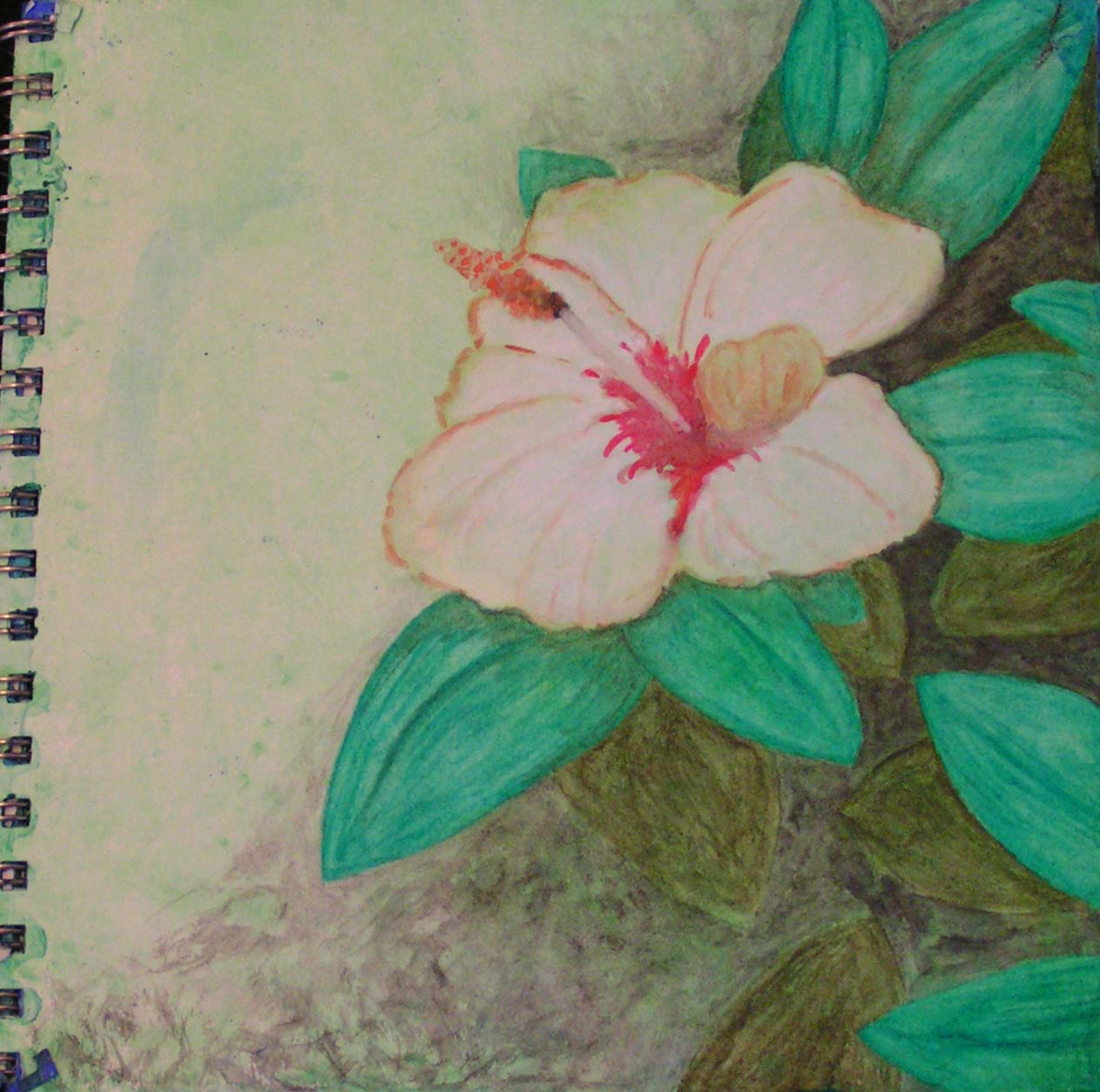 Sketchbook - Hibiscus by Ruth Lane