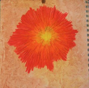 Sketchbook - Orange Raditation by Ruth Lane